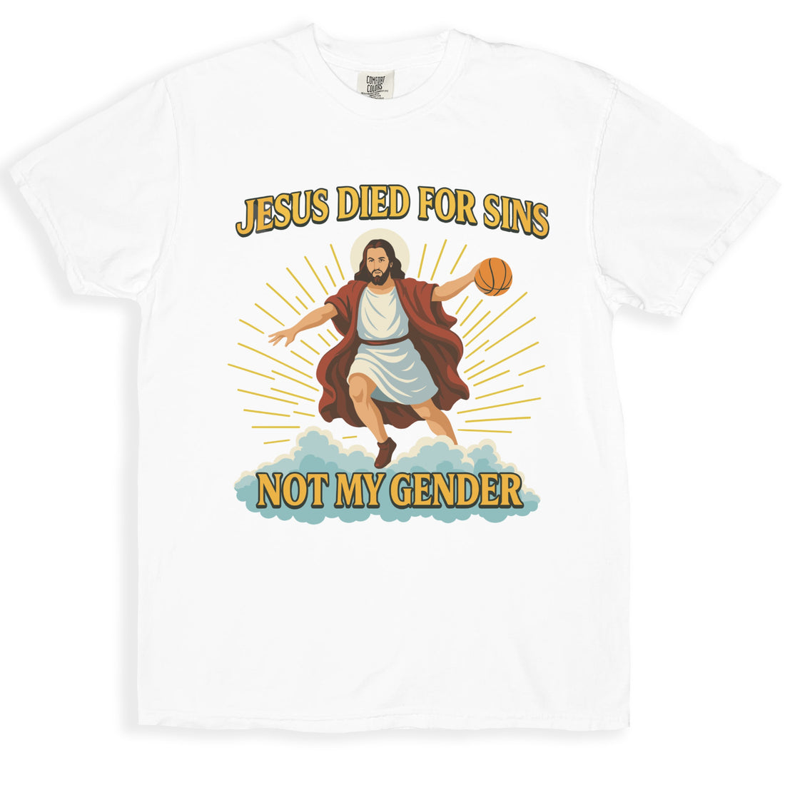 Jesus Died For Sins Not My Gender T-Shirt product type