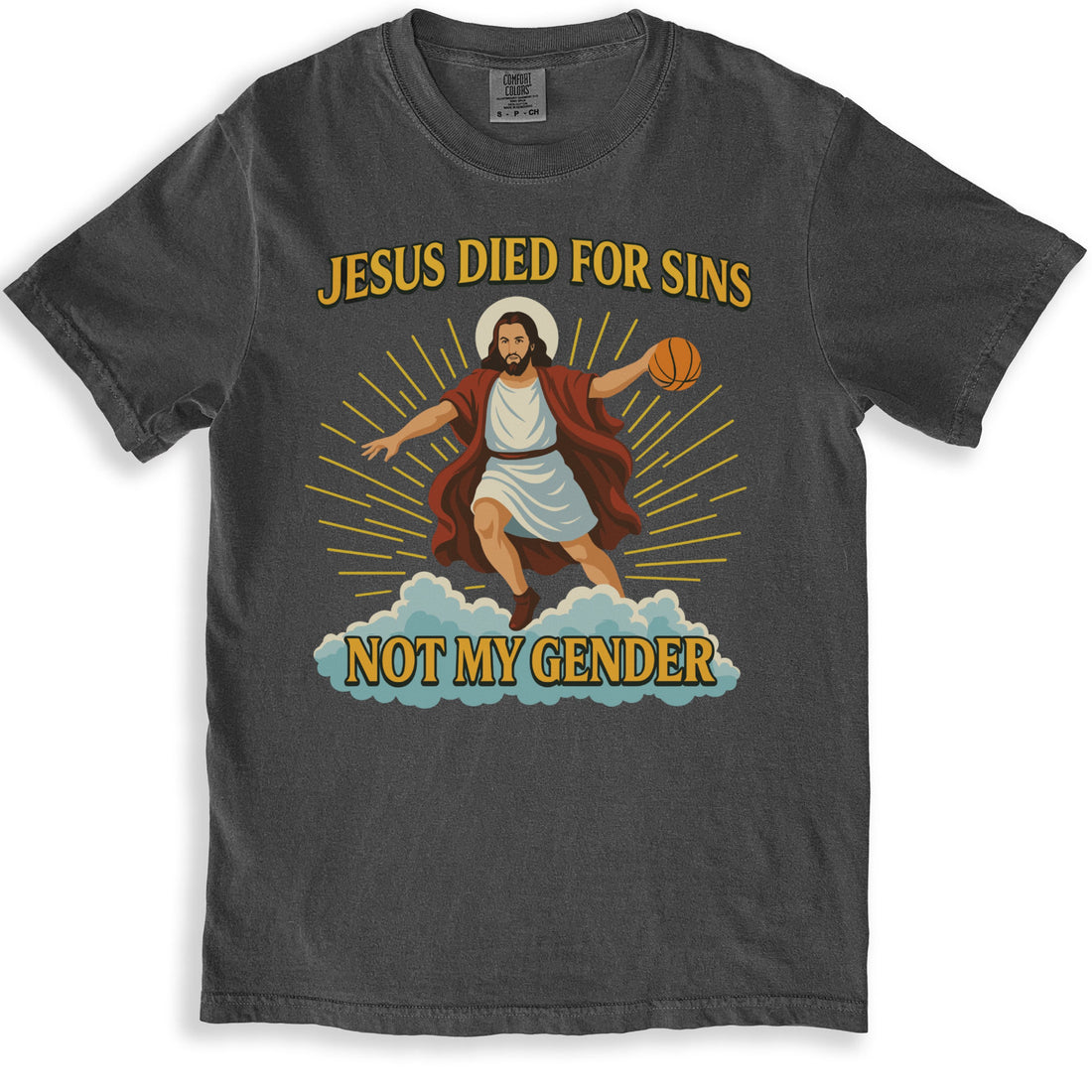 Jesus Died For Sins Not My Gender T-Shirt product type
